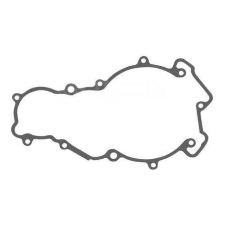 USZCZELKA ALTERNATORA KTM 950 990 0,5mm